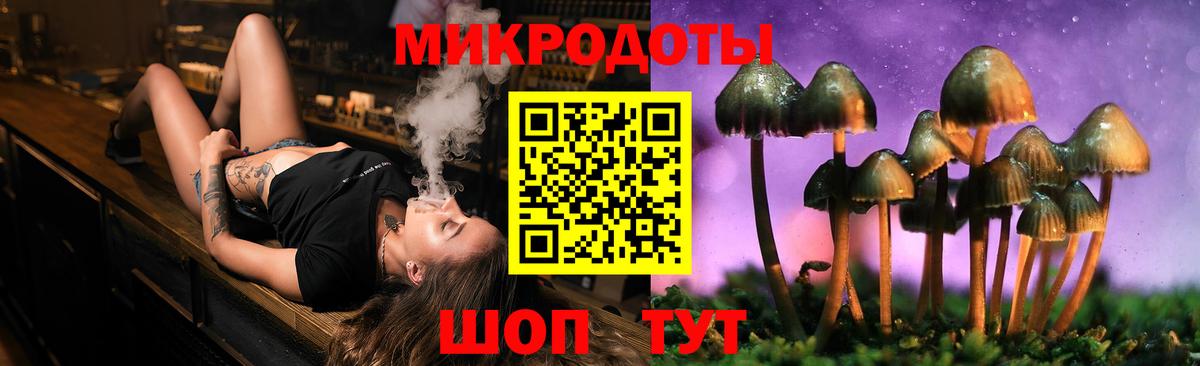 Псилоцибиновые грибы Cubensis Волхов